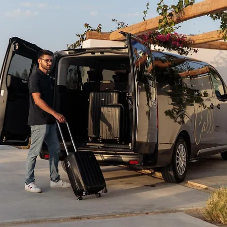 Golden With Private Pool Villa Vivlos