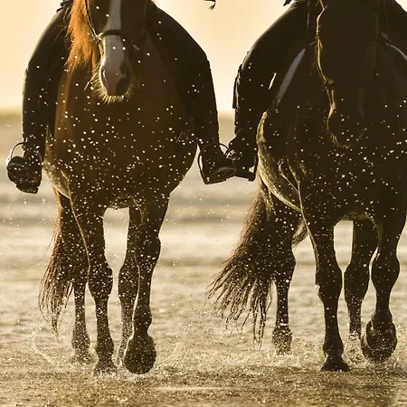 Golden With Private Pool Vila