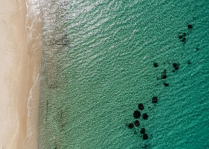 Golden With Private Pool 别墅