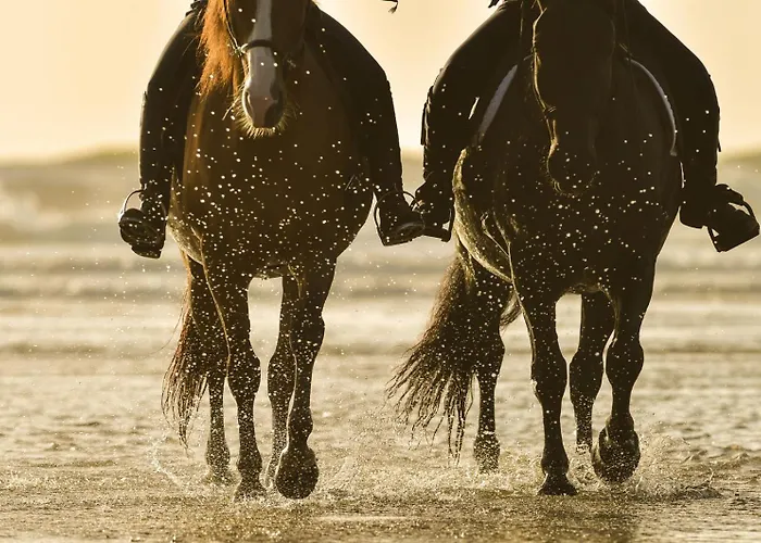 Golden With Private Pool 别墅